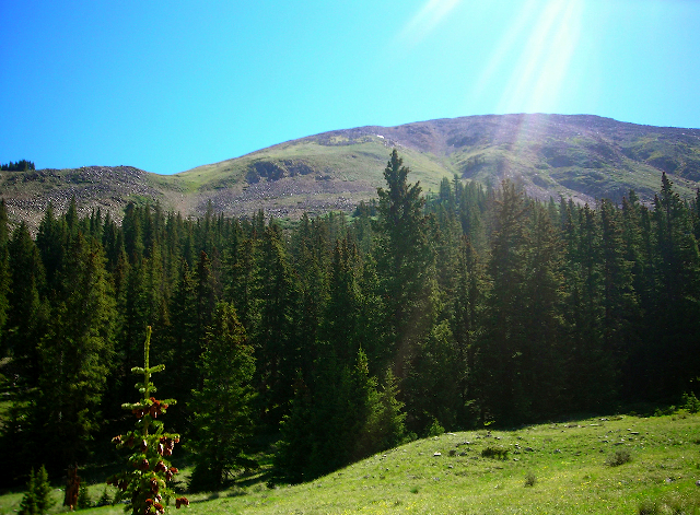 A beautiful day for a drive